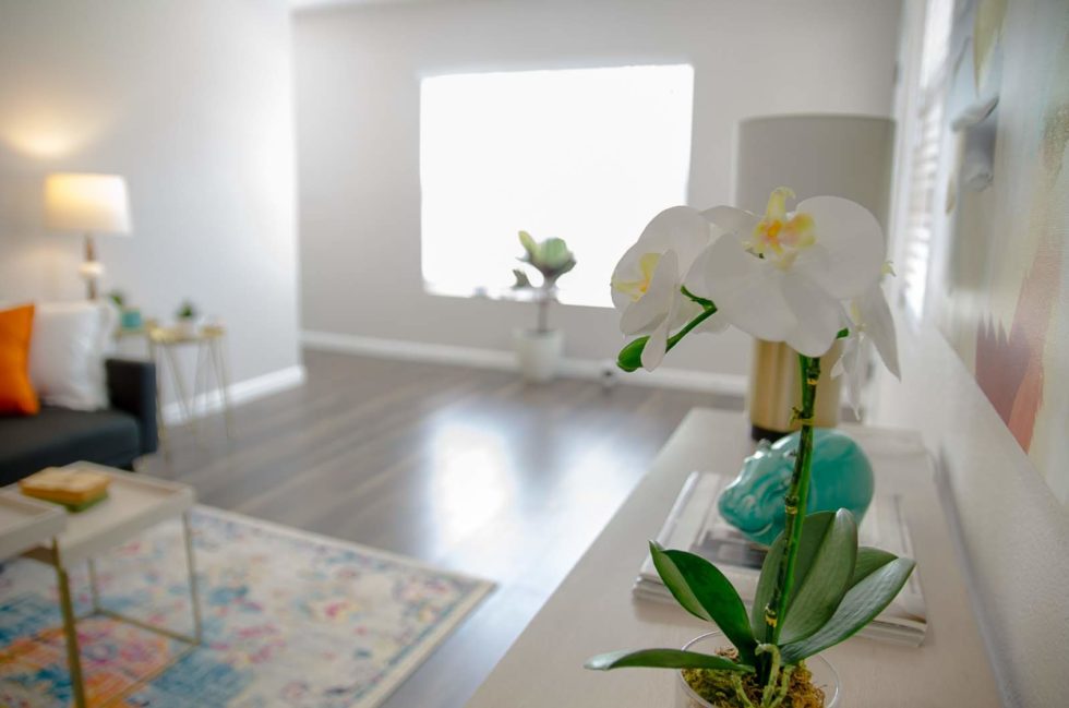 Home Staging Affordable San Antonio Tx